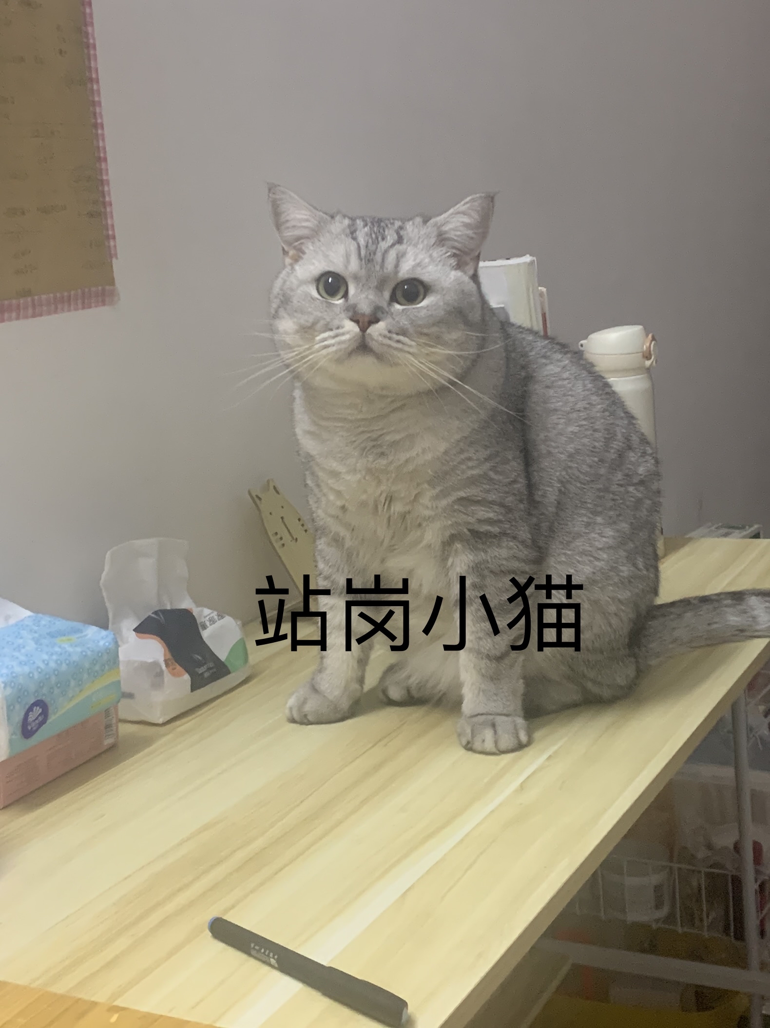 Ljh