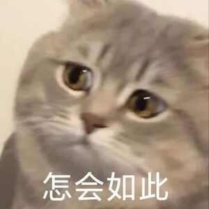 橘子