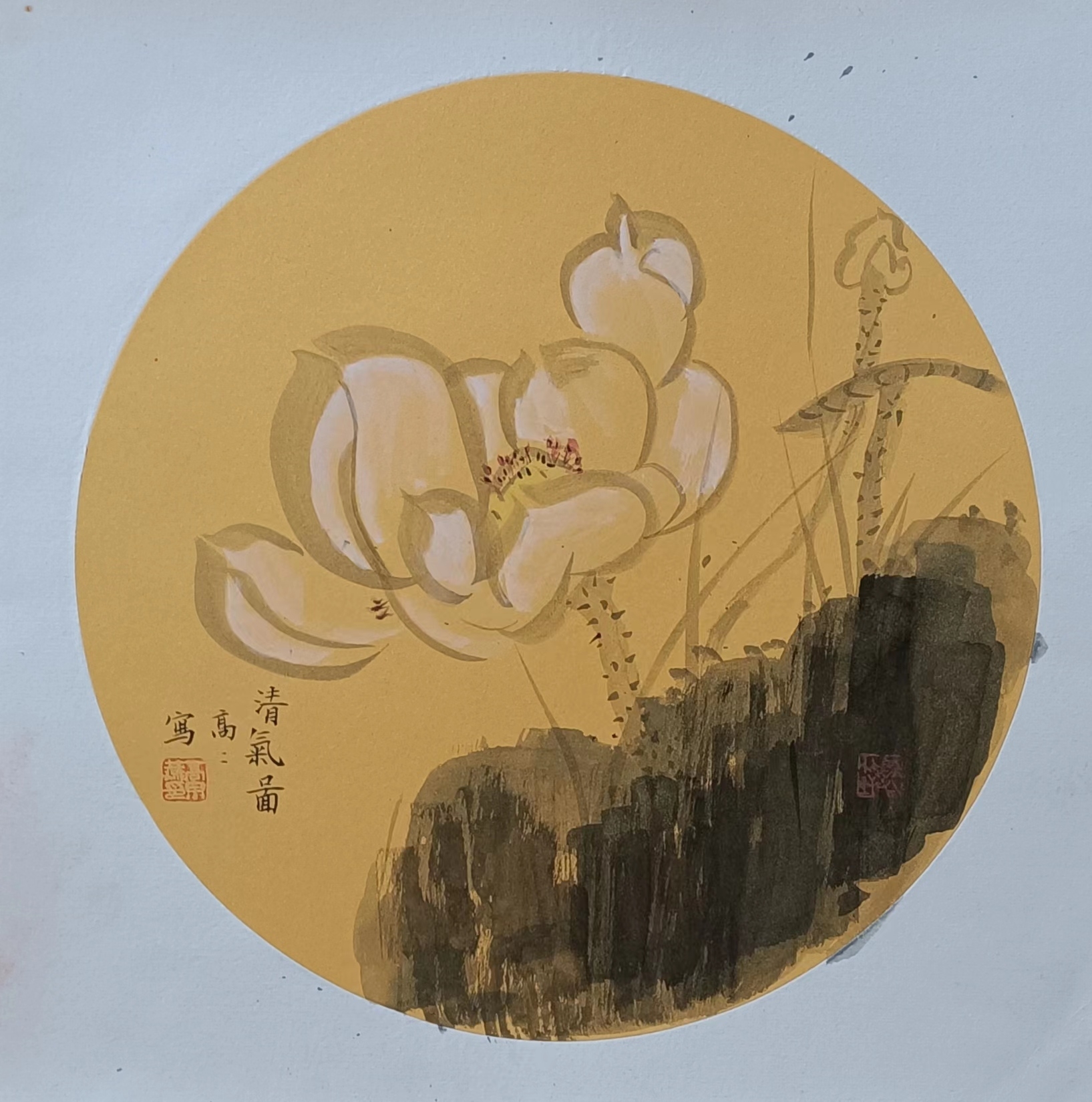 墨恬的精品