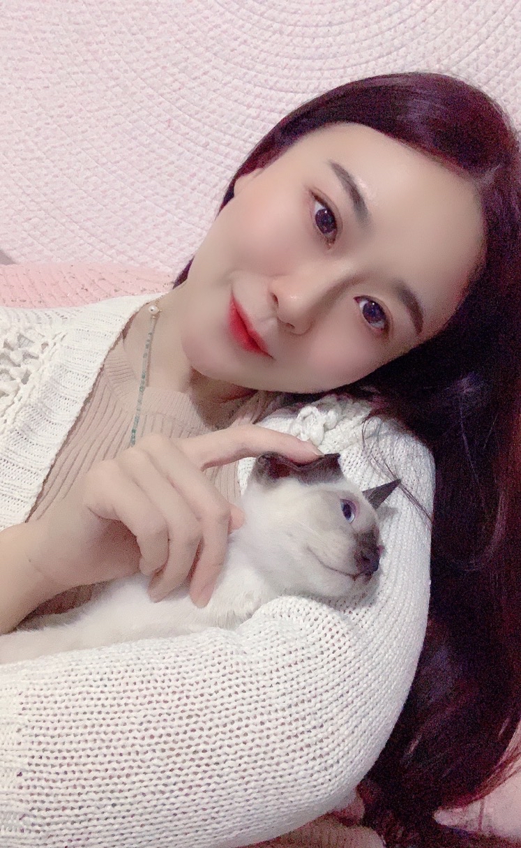暹罗猫猫求领养_0