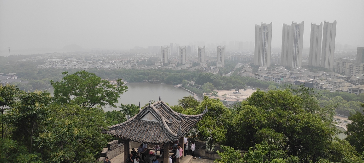 小李