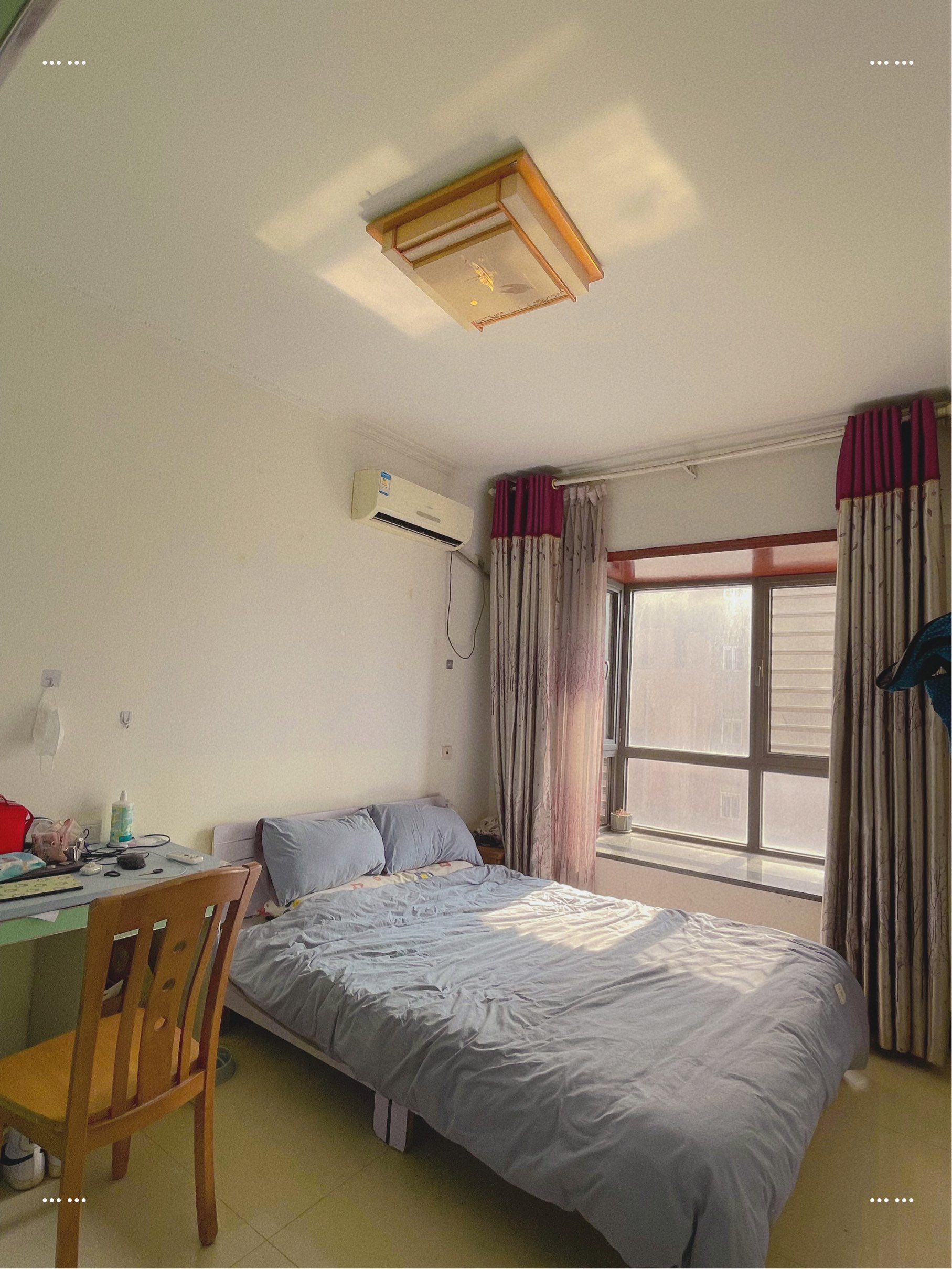 Zhengzhou-Jinshui-Pet Friendly