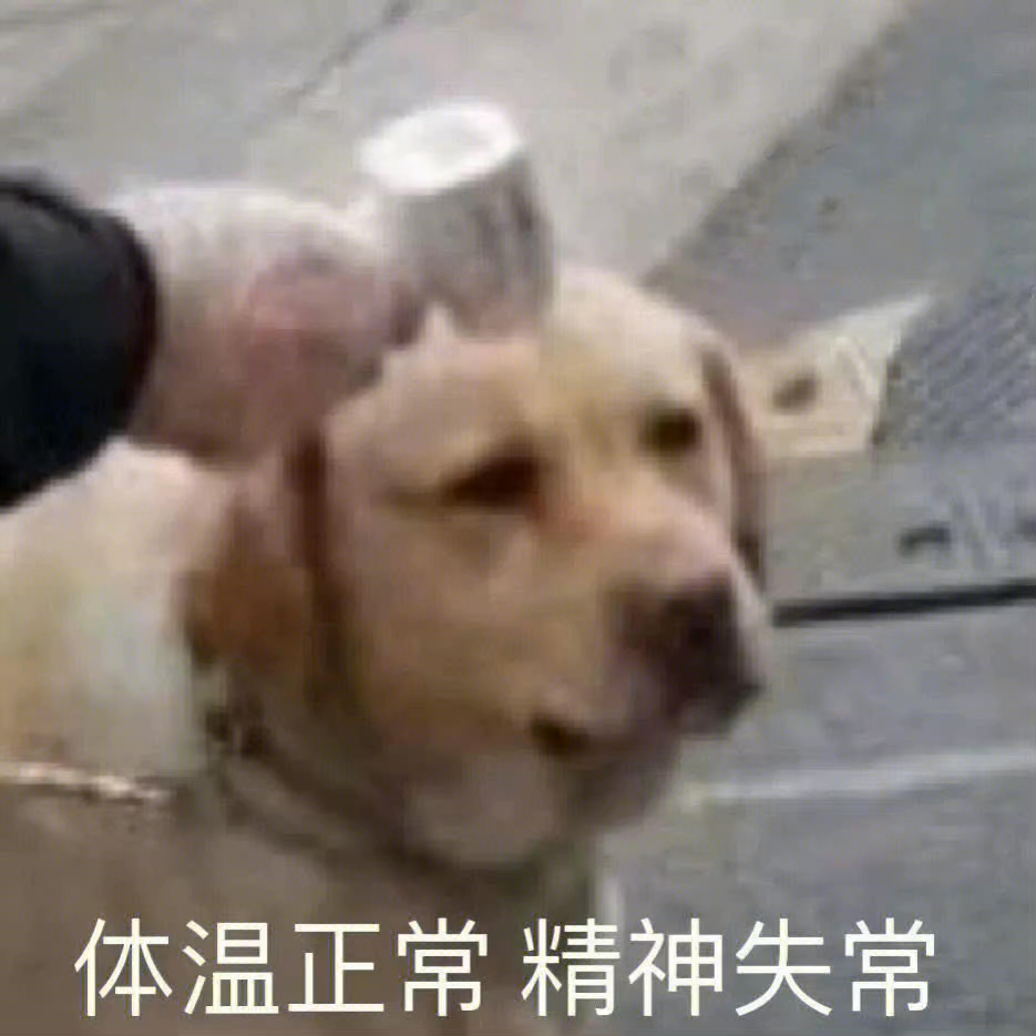悲伤螺蛳粉