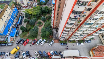 上海-徐汇-干净治愈,不限性别,宠物友好