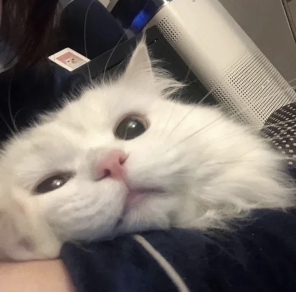 ruinsnm