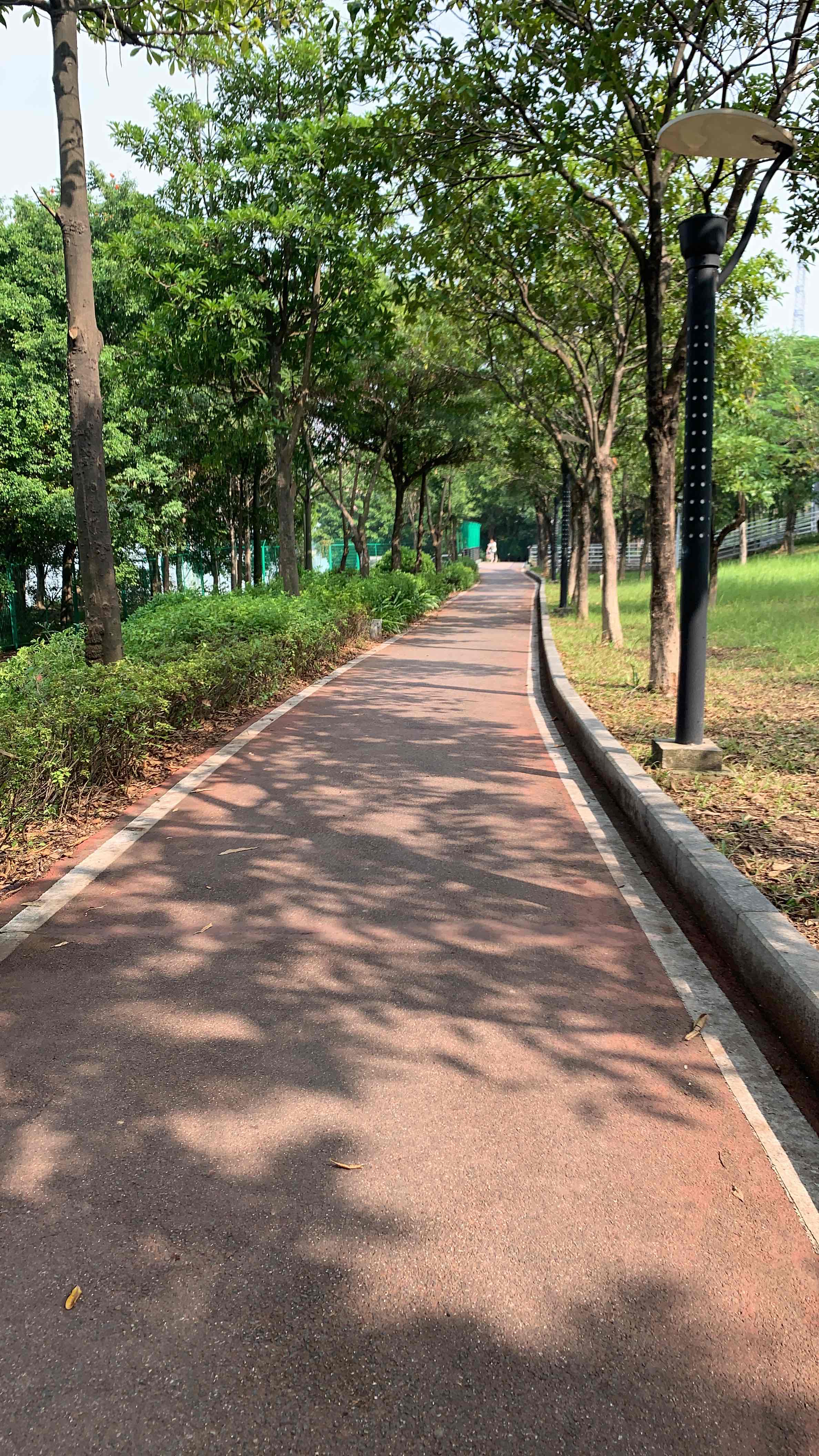 Let’s bike!