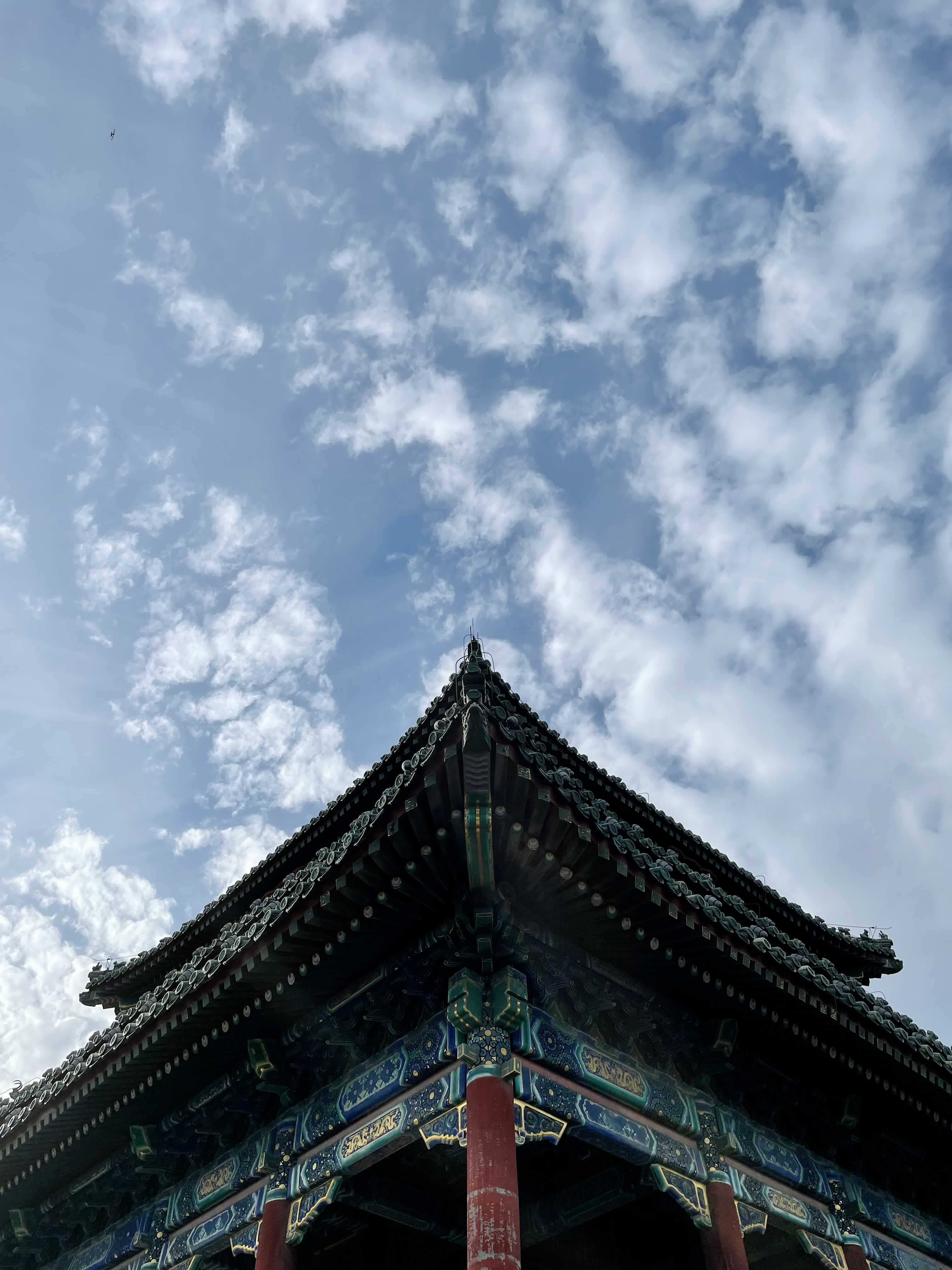 菲菲