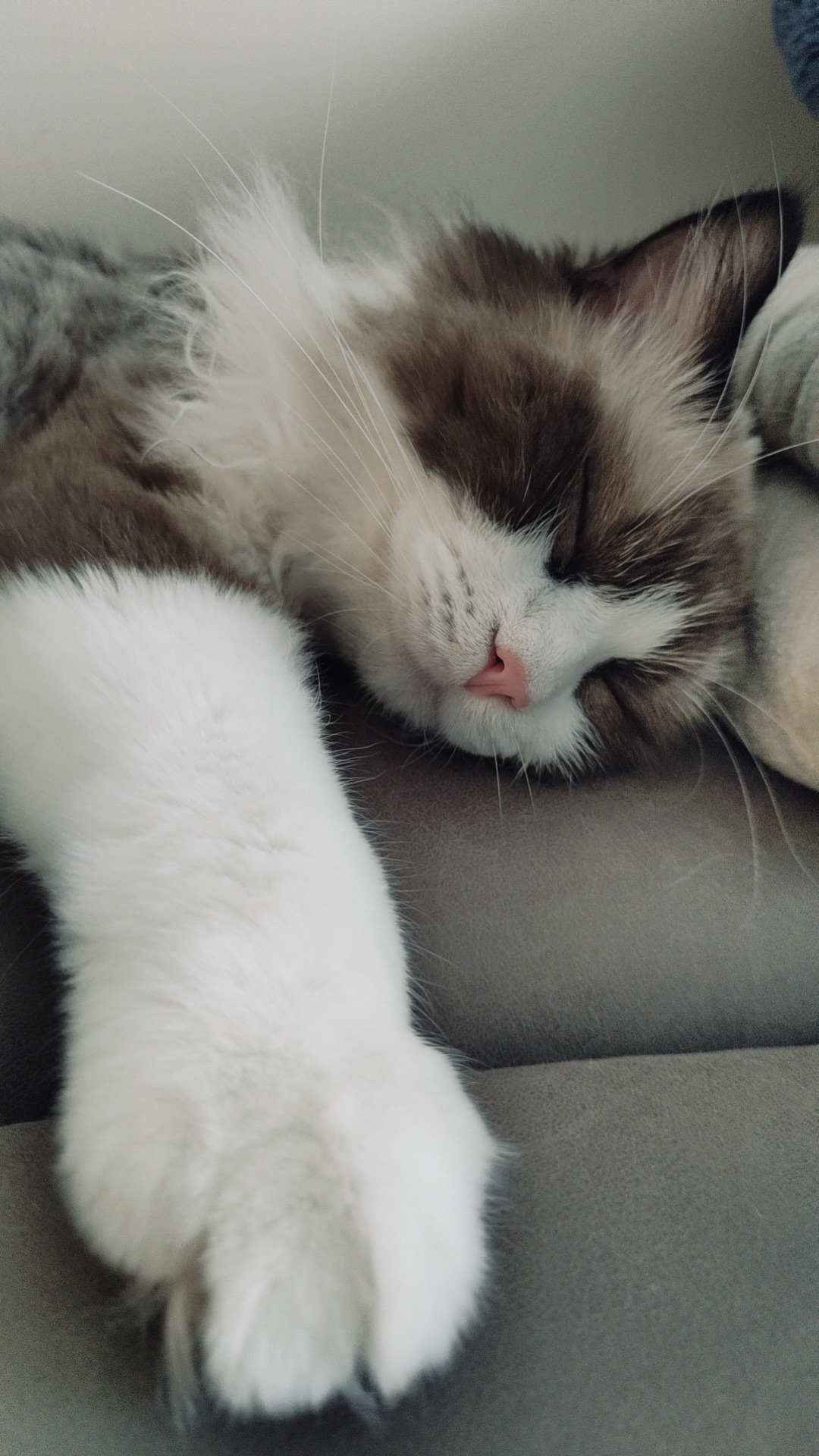 Jitadiqixian（短租勿扰）