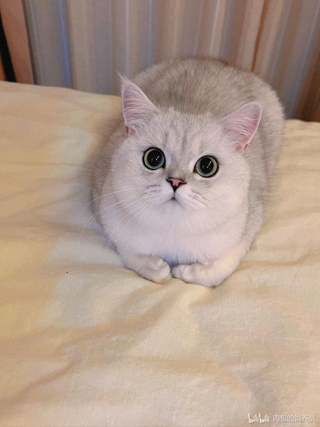 钟意