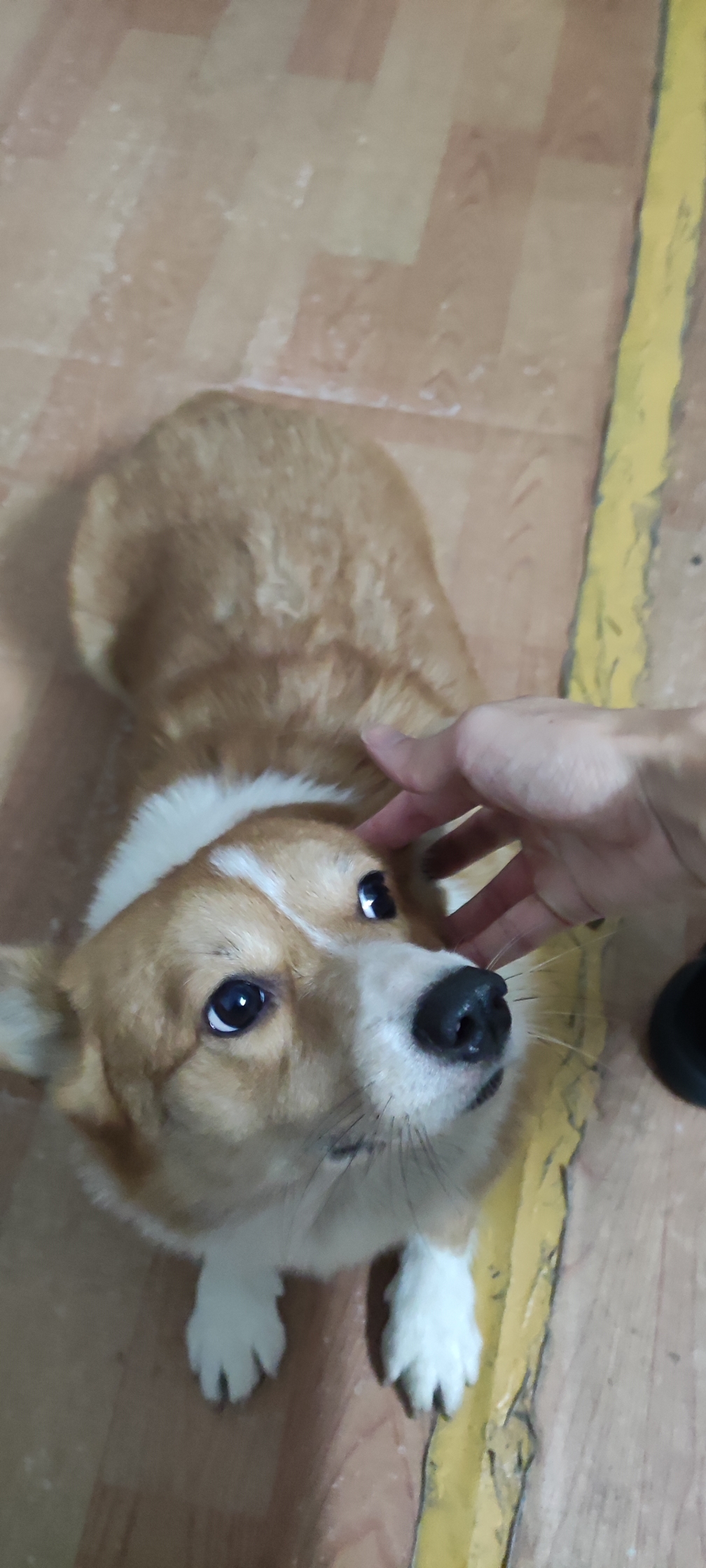 狠手破嗔贪