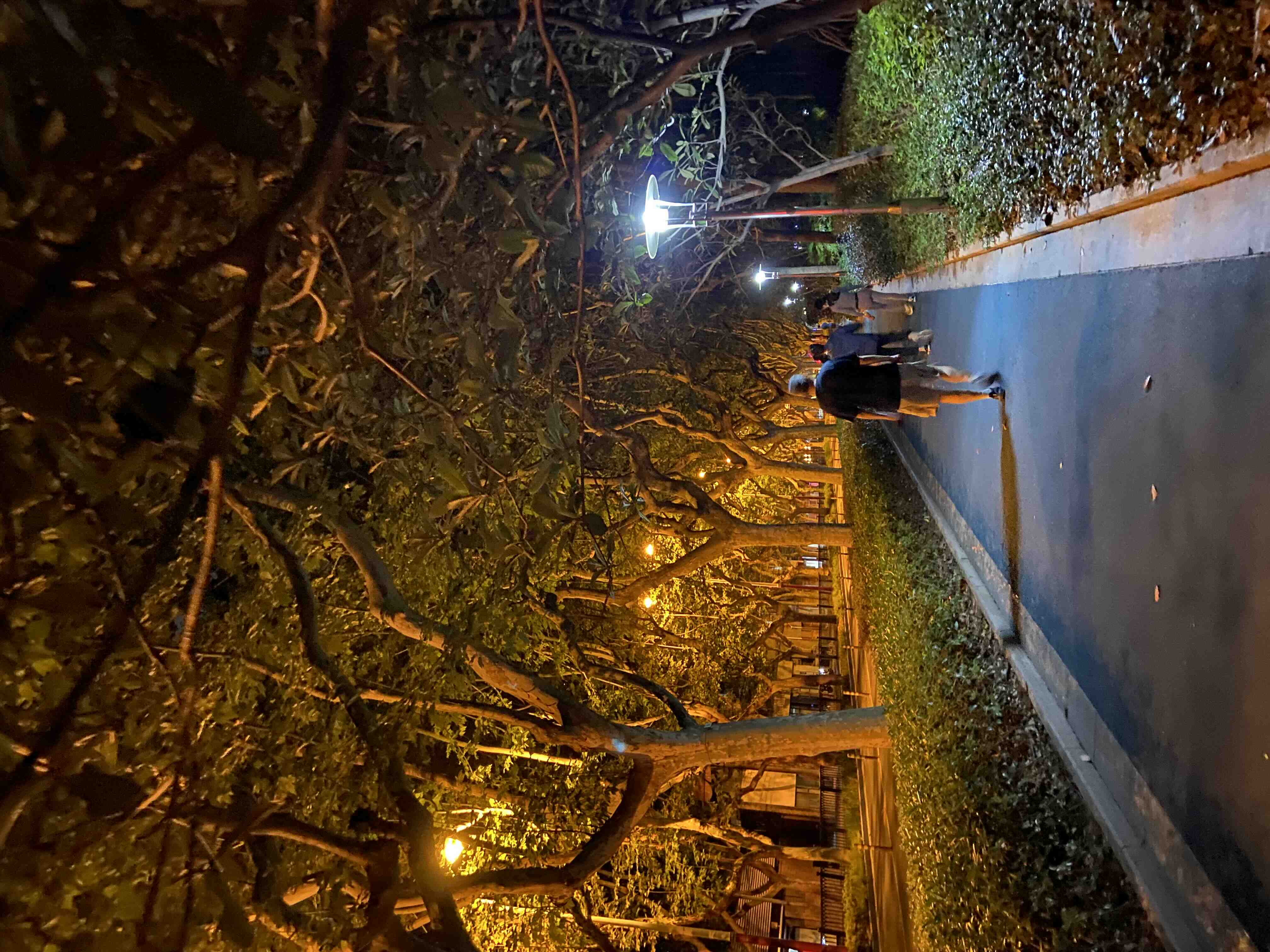 久违的徐家汇公园夜跑