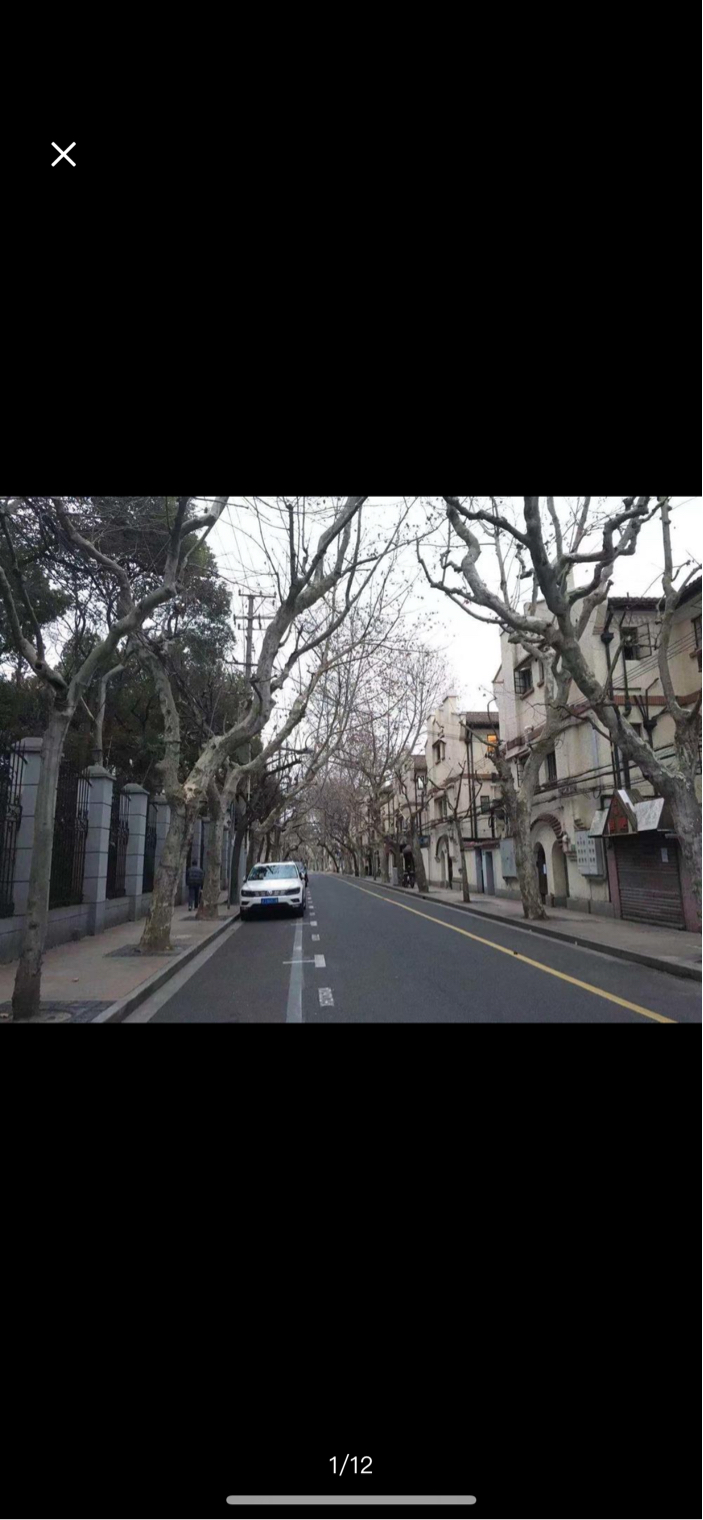 Shanghai-Xuhui-Cozy Home,Clean&Comfy,Hustle & Bustle,Chilled