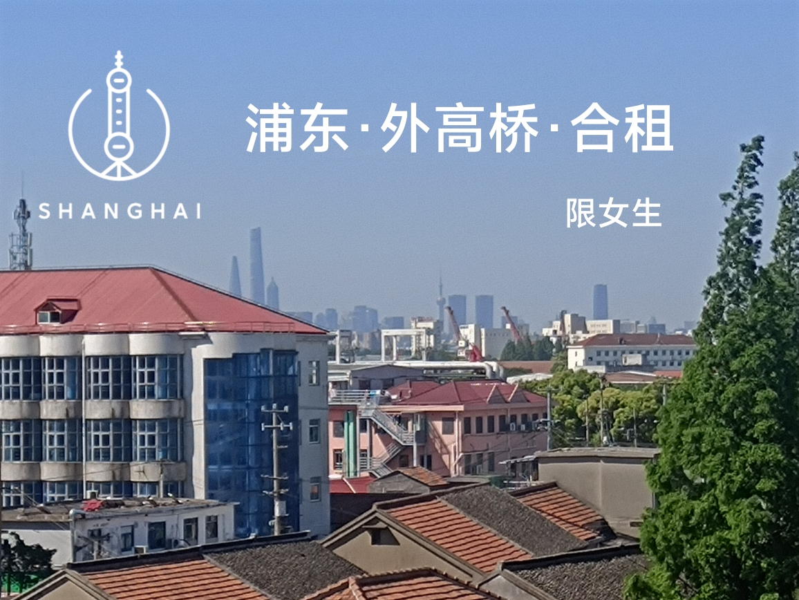 上海-浦东-温馨小窝,干净治愈,市井烟火气,老友记,慢时光