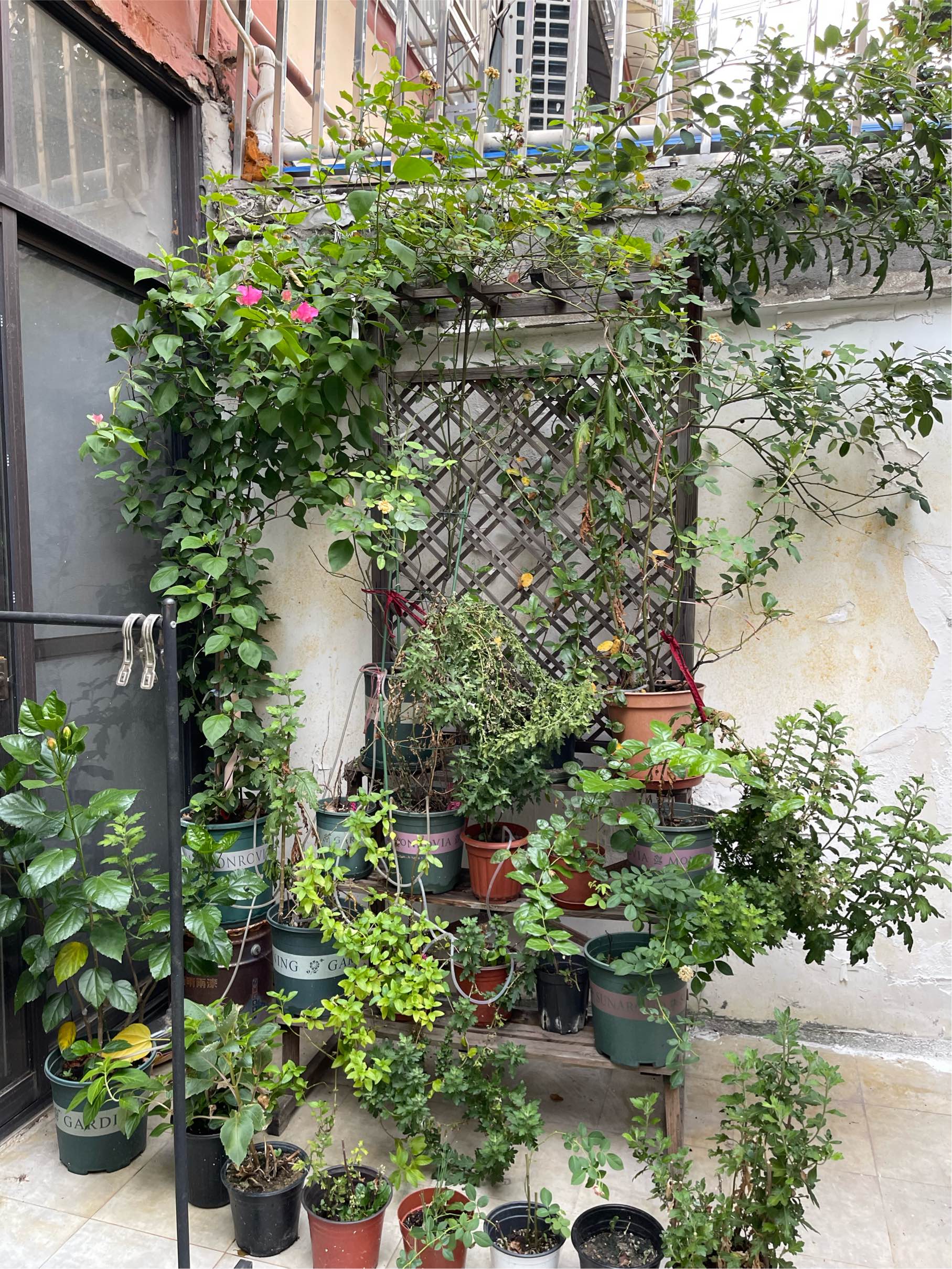 Shanghai-Pudong-No Gender Limit,Pet Friendly