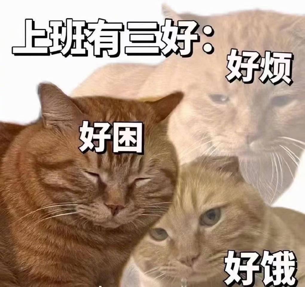 Yy