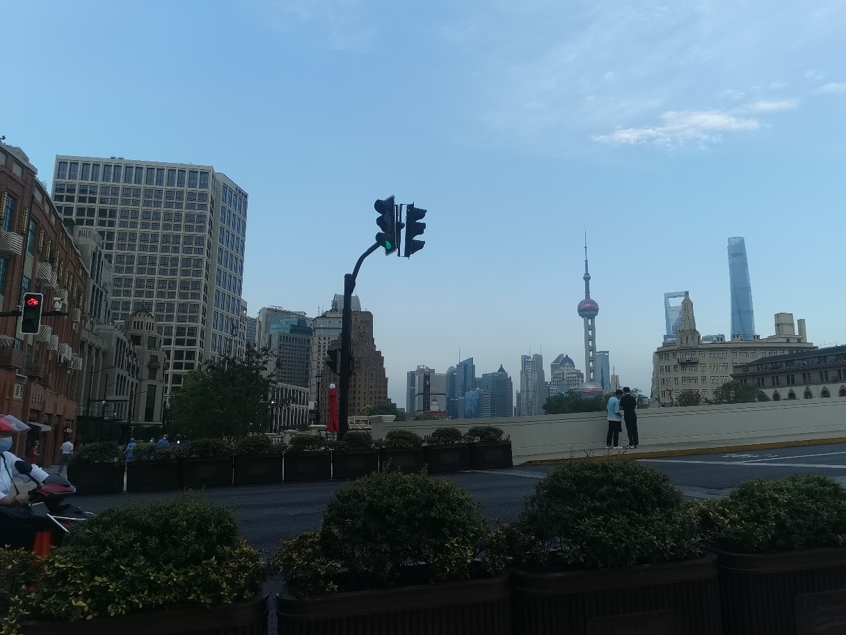 伊布拉希莫维奇