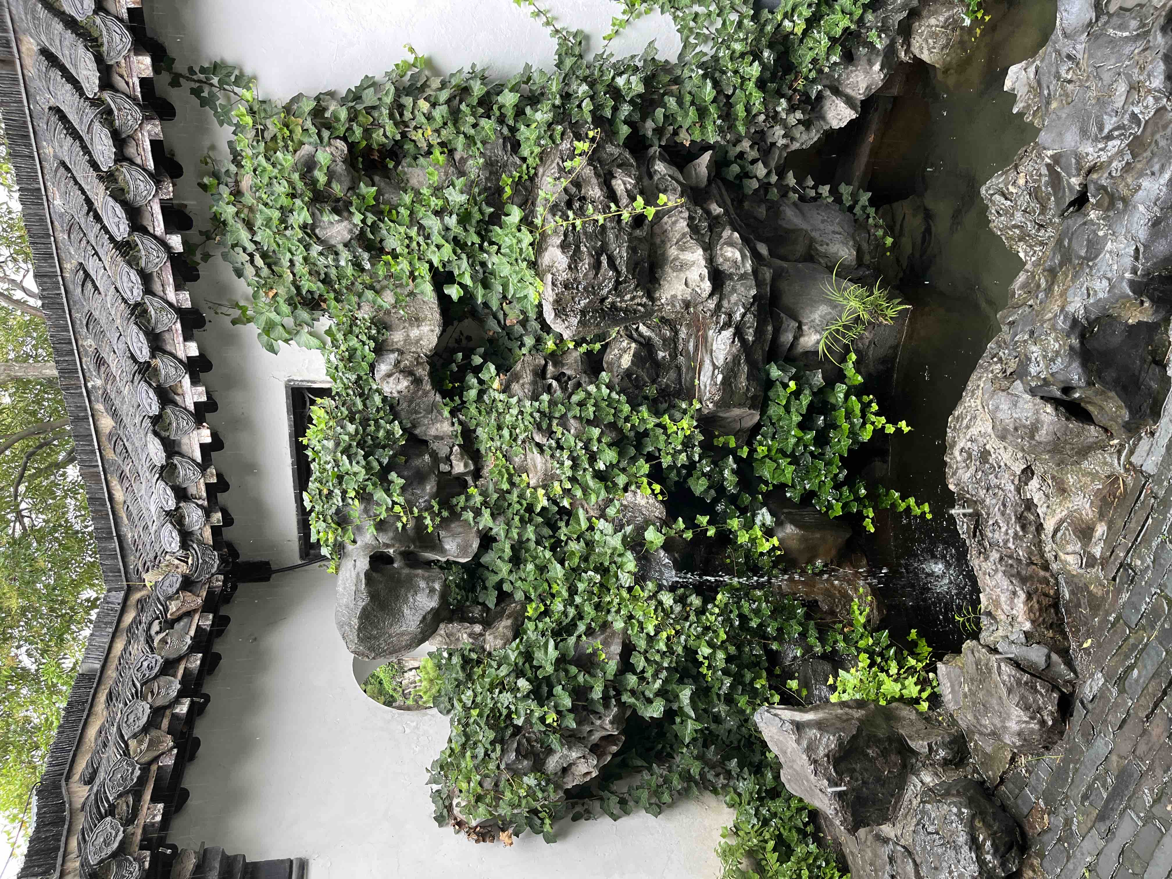 青衿鹿鸣