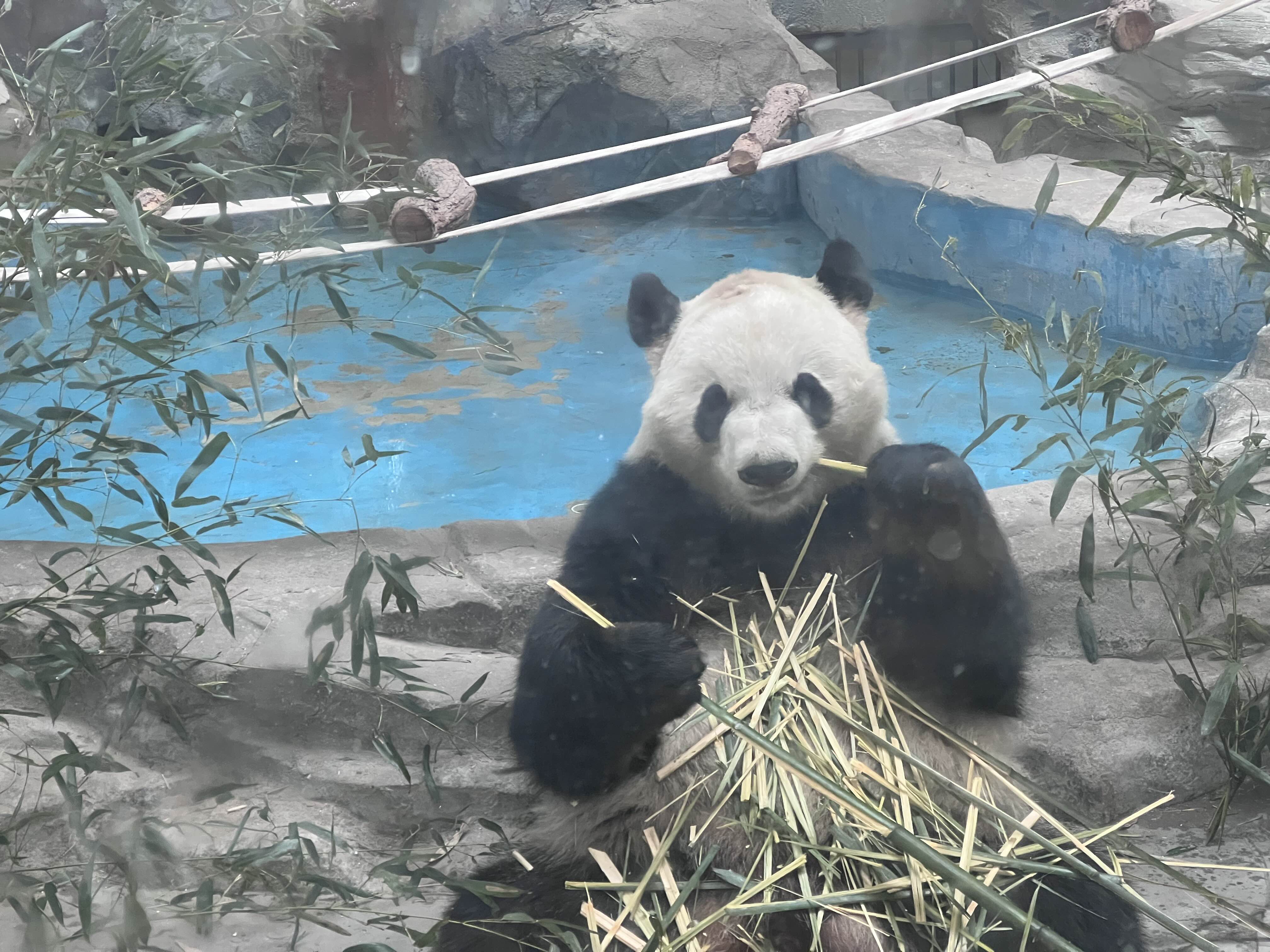 沐泽