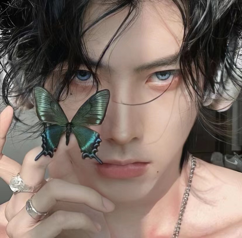 杨凯