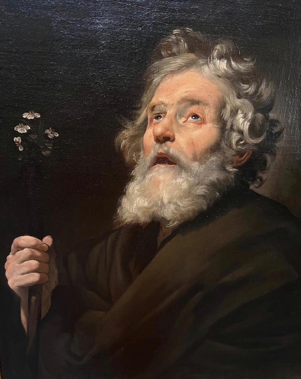 Ray 