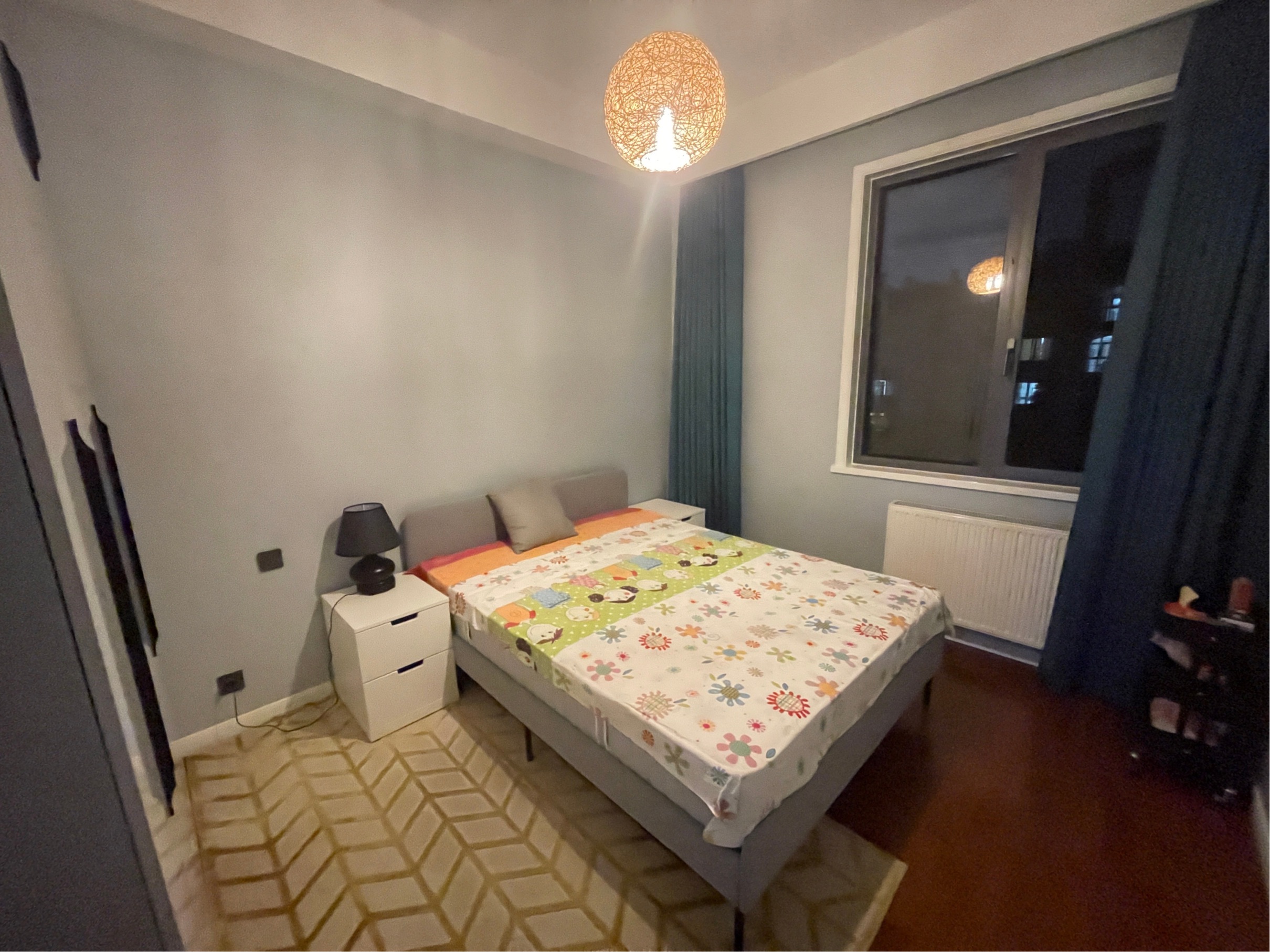 Long Term-Seeking Flatmate-Shared Apartment-Pet Friendly