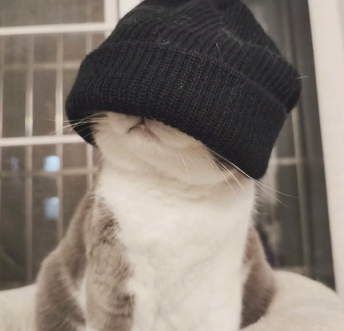 夕
