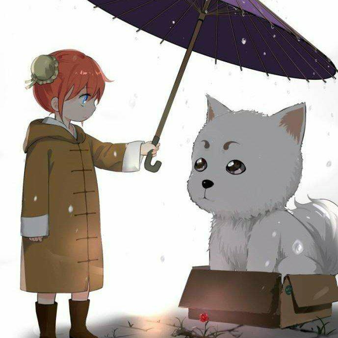 Y。