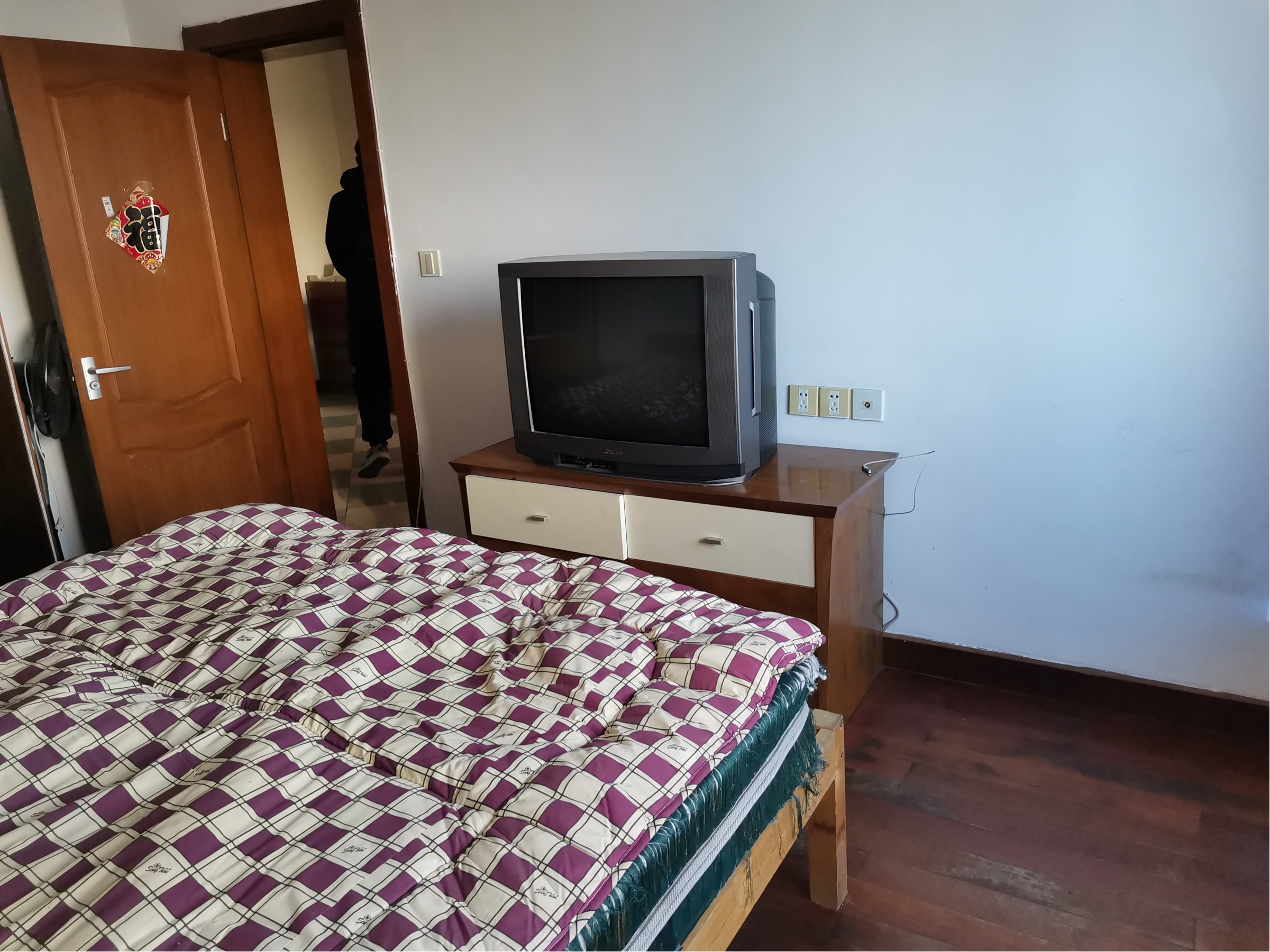 shanghai-fengxian-long-term-pet-friendly