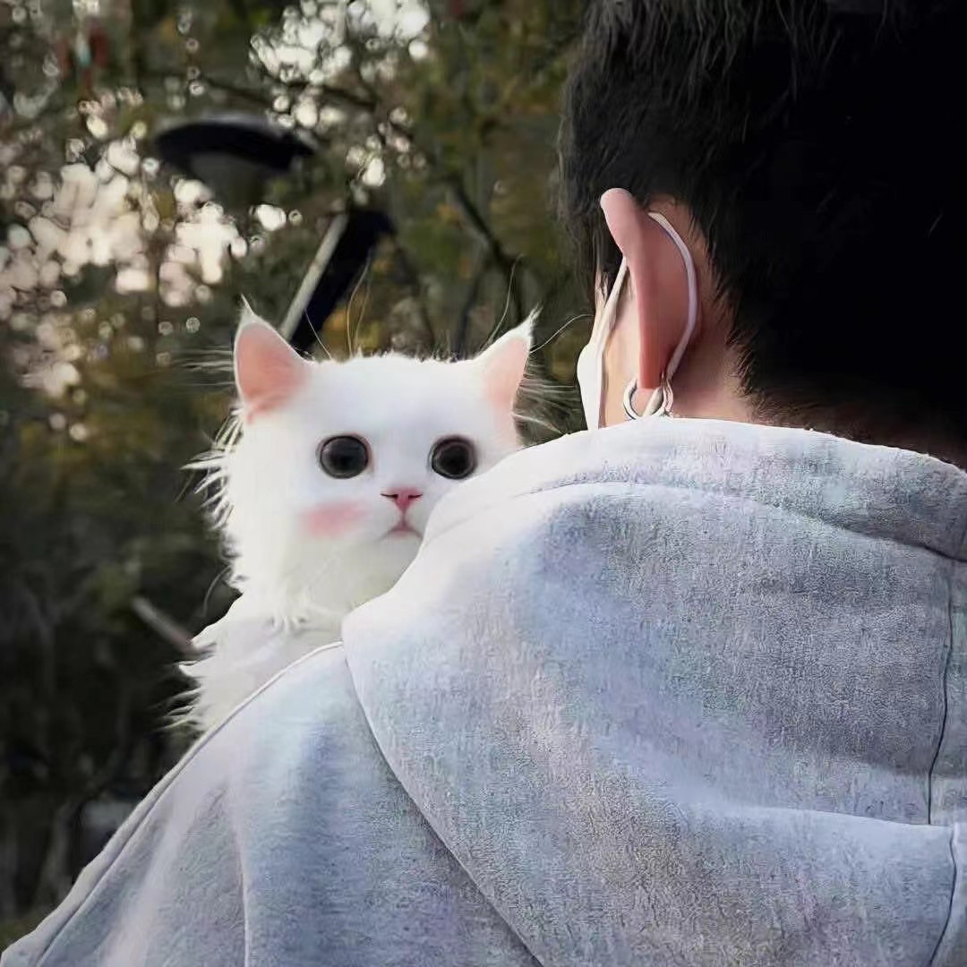 柚