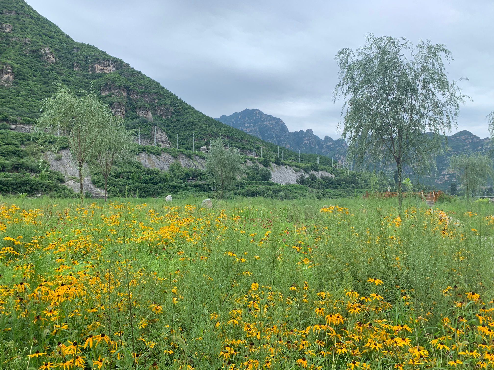 靠谱，你好