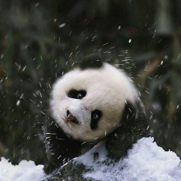 哈哈哈哈哈