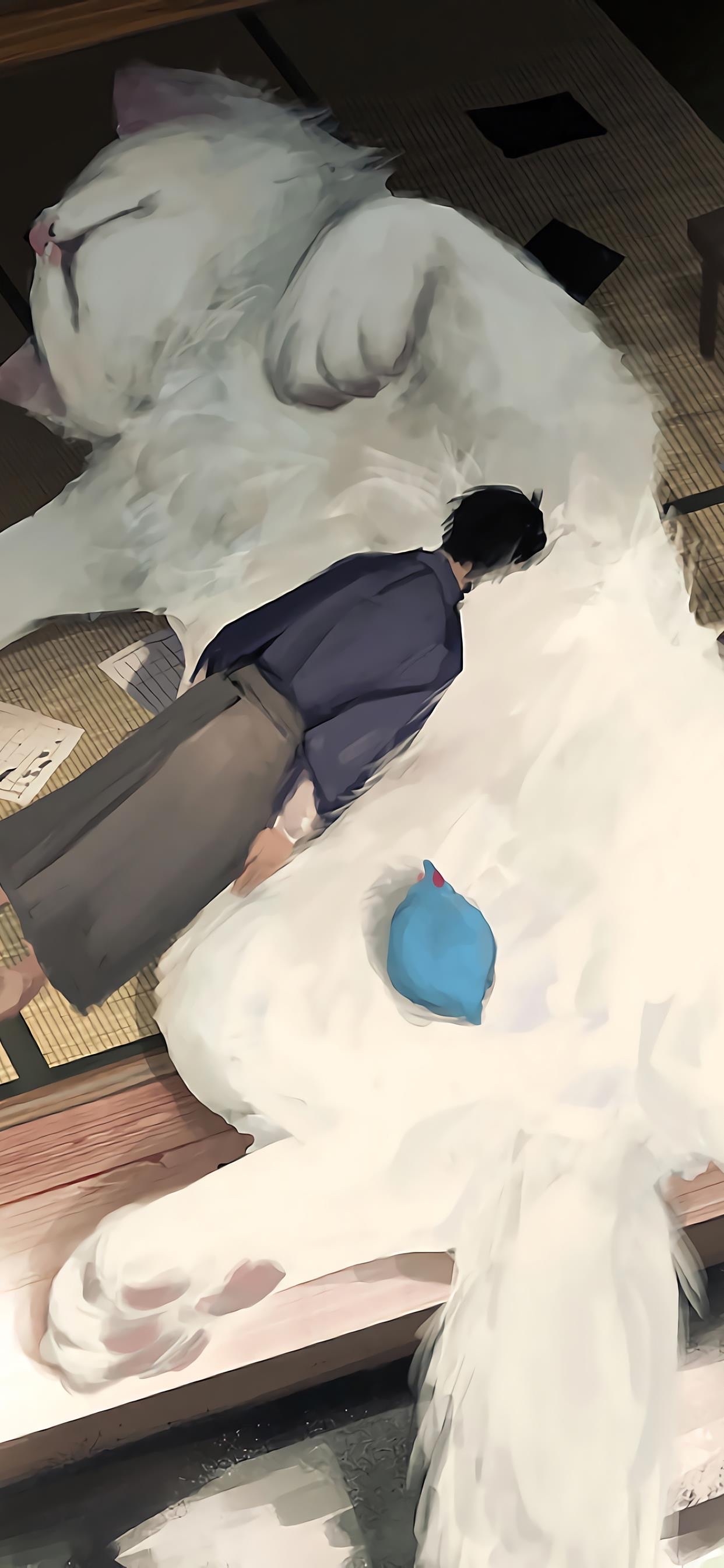 日月同错