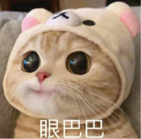 全世界的小仙女