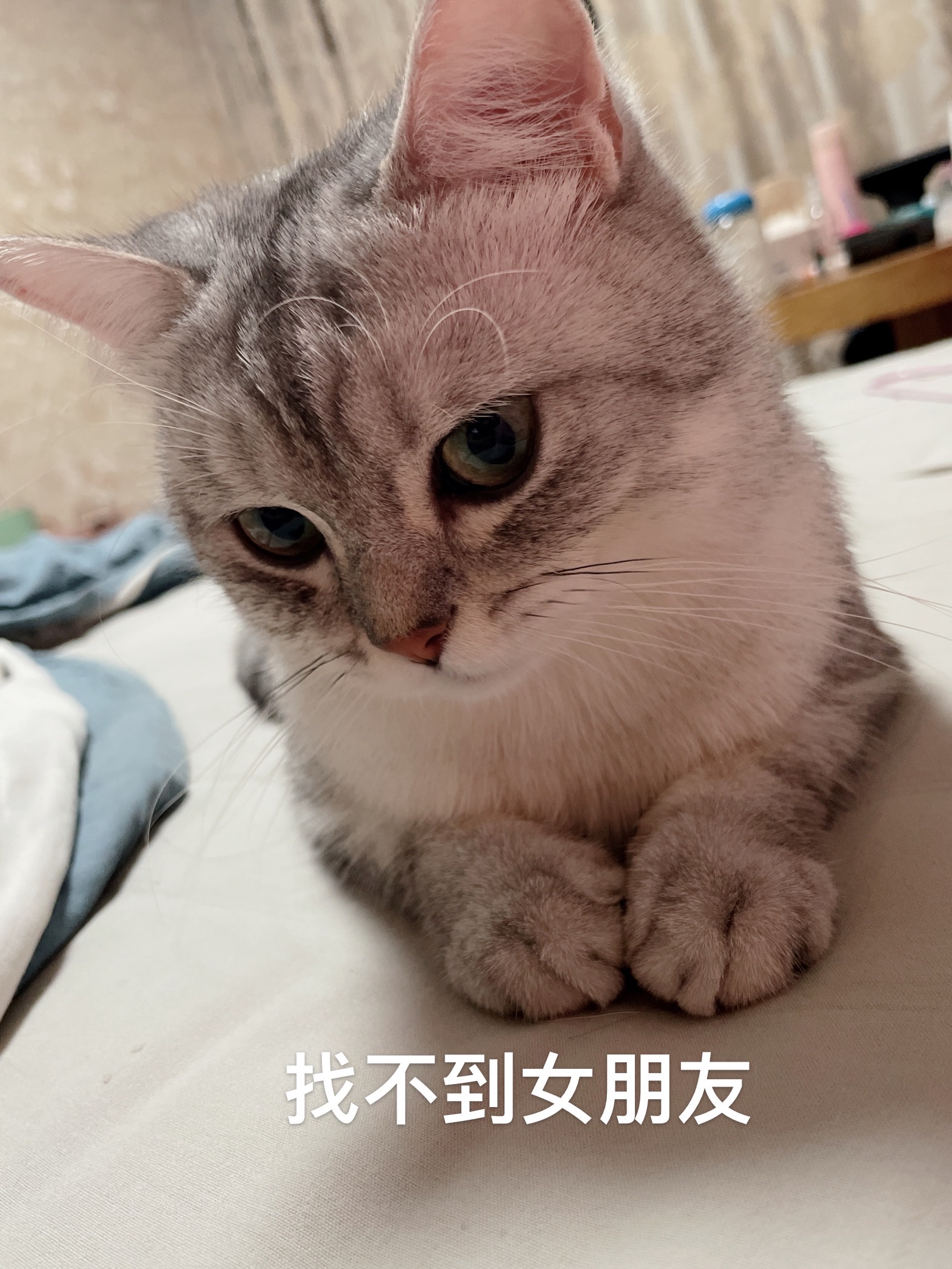 嘟嘟嘟