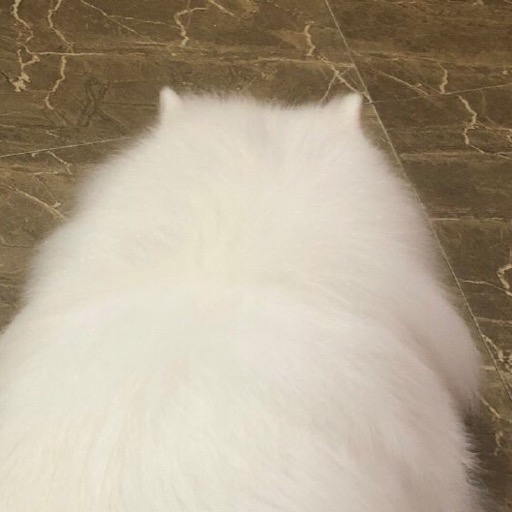 桃木