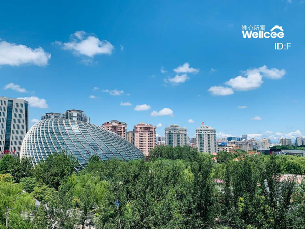 Beijing-Chaoyang-Cozy Home,Clean&Comfy,No Gender Limit