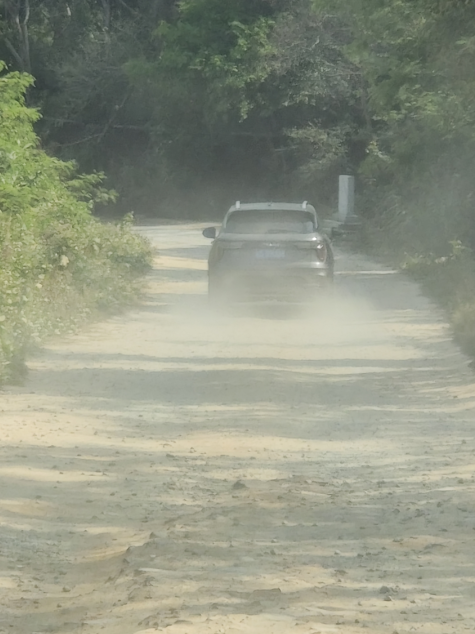 卡丽兰公寓招租