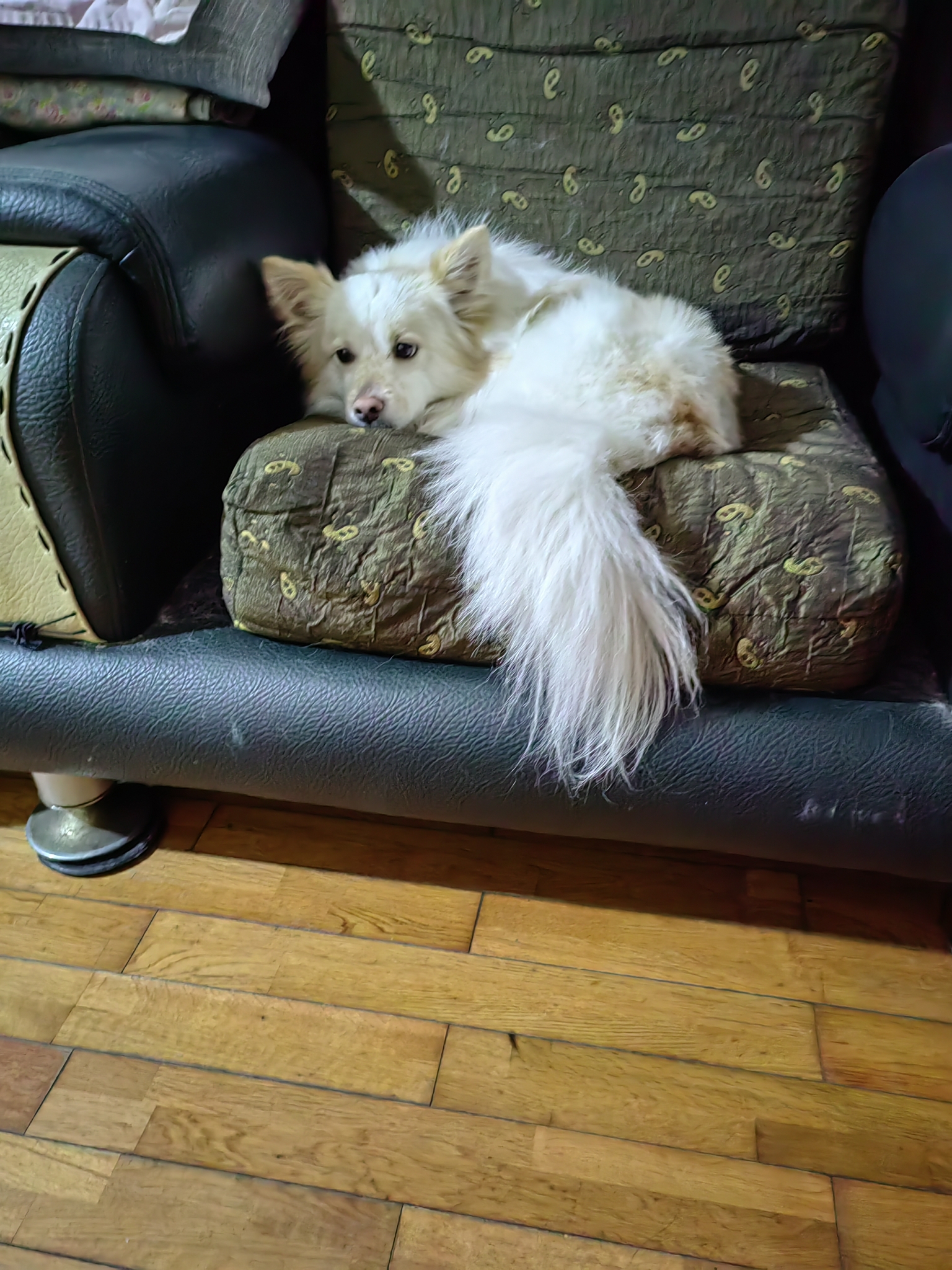 智慧