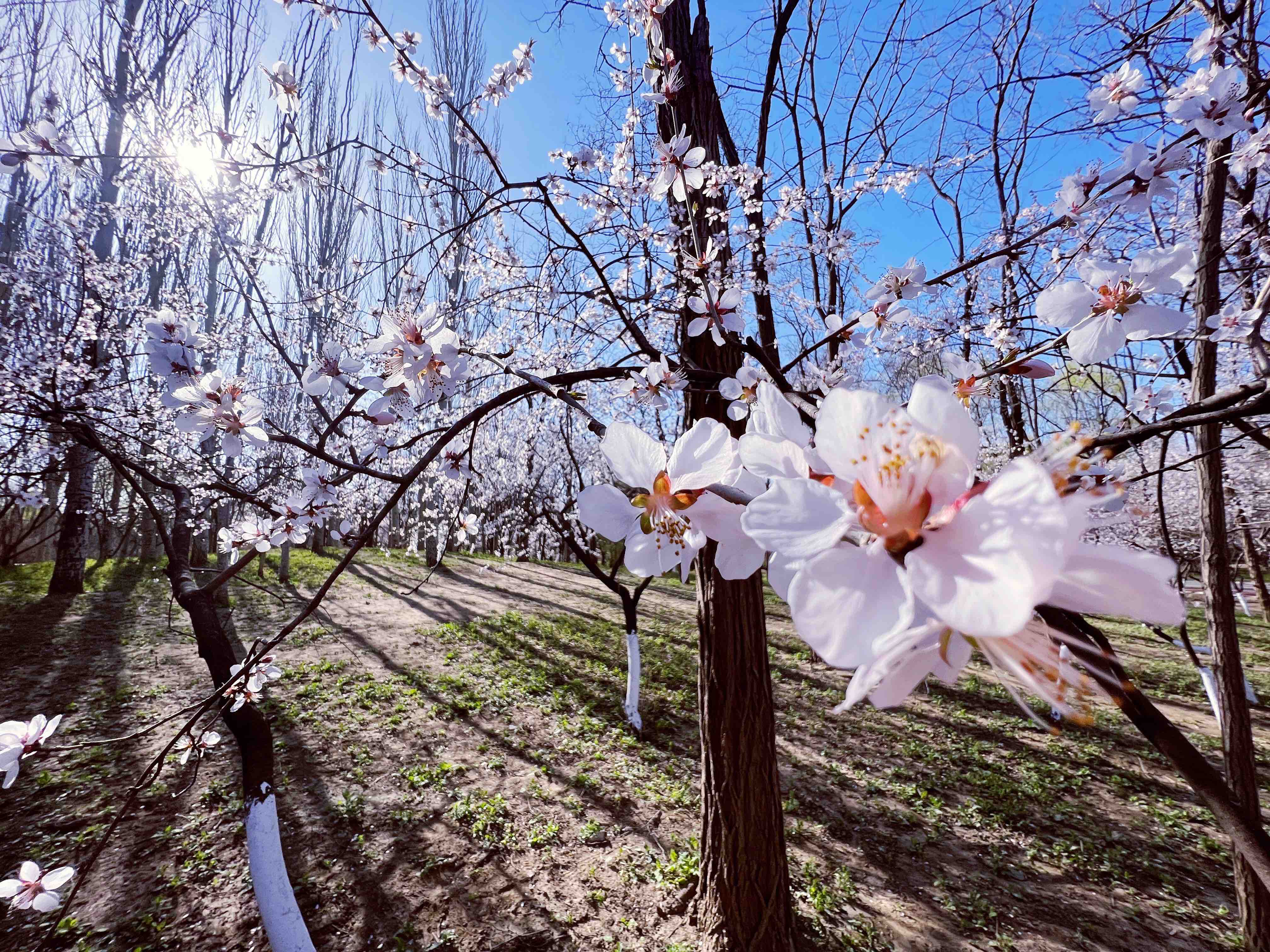 住在河边的福利～_0