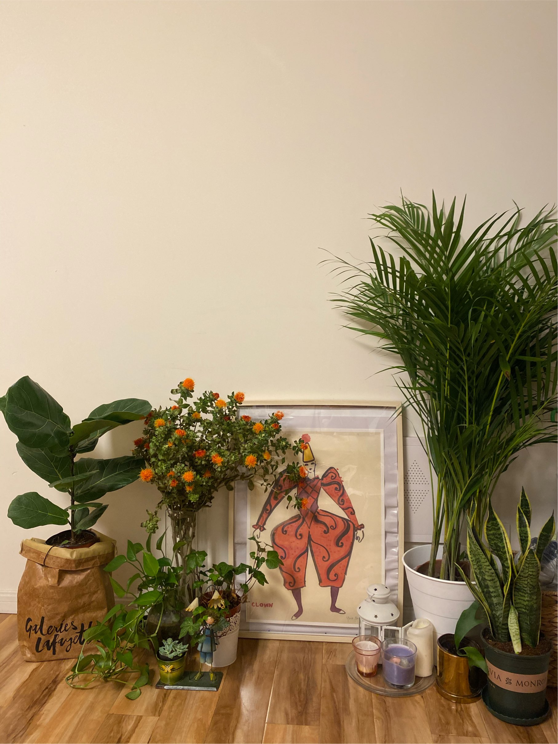 I❤️fine gardening