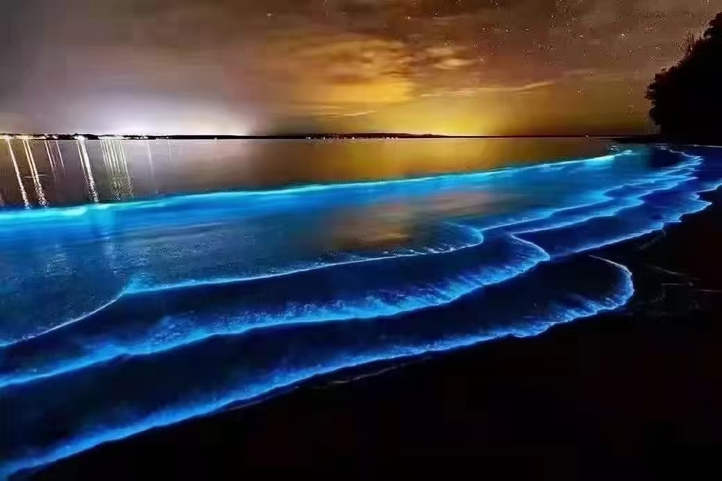 Moana