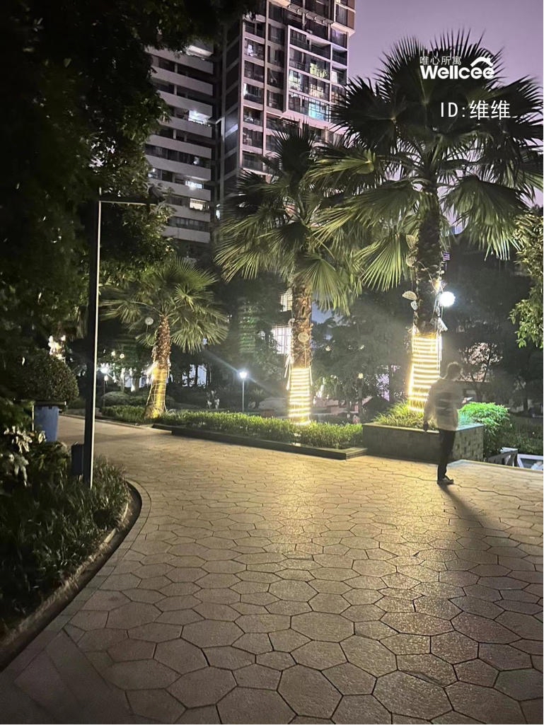 维维