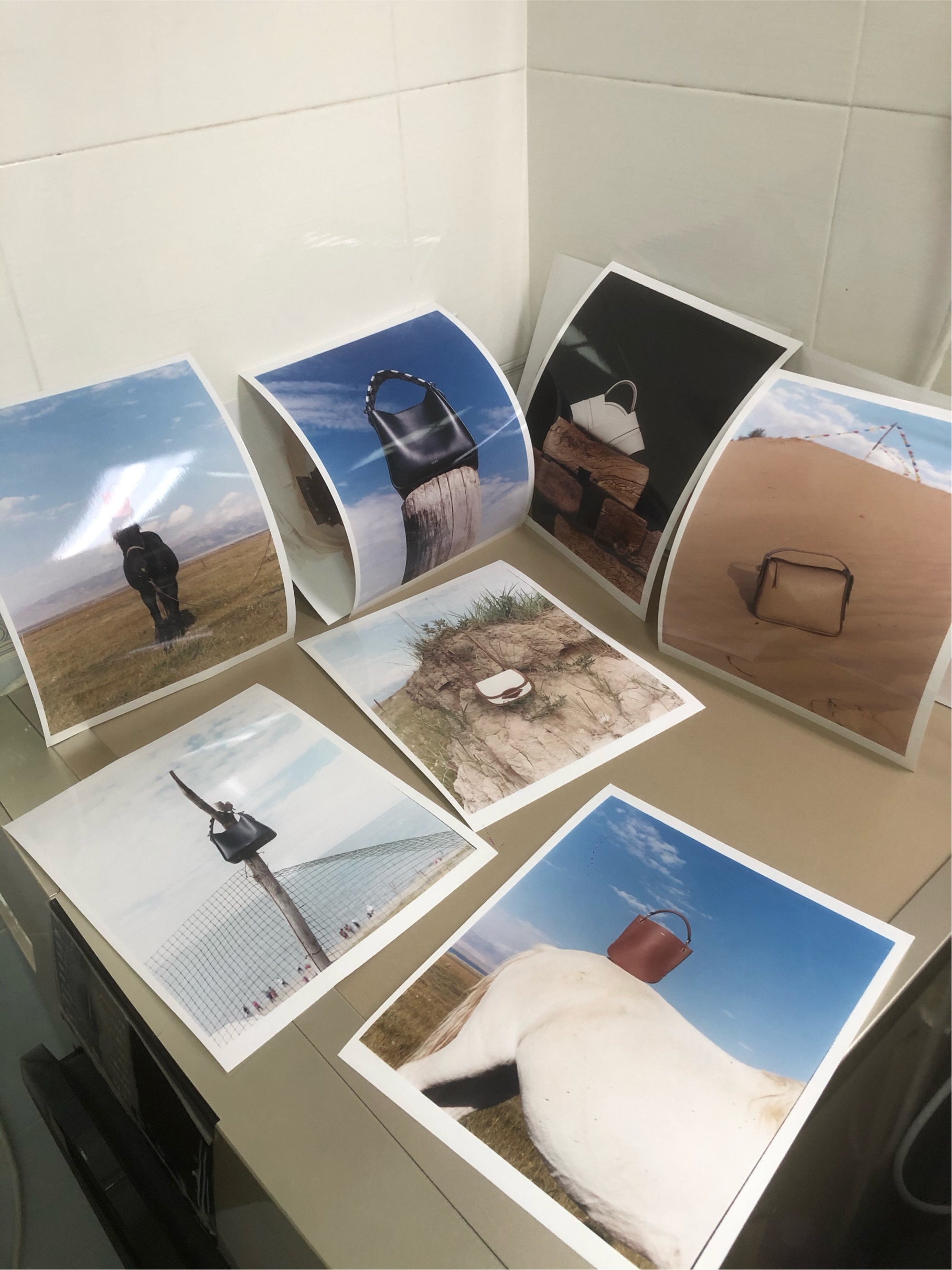 快来做我的室友吧，可以给你拍美美的照片哒