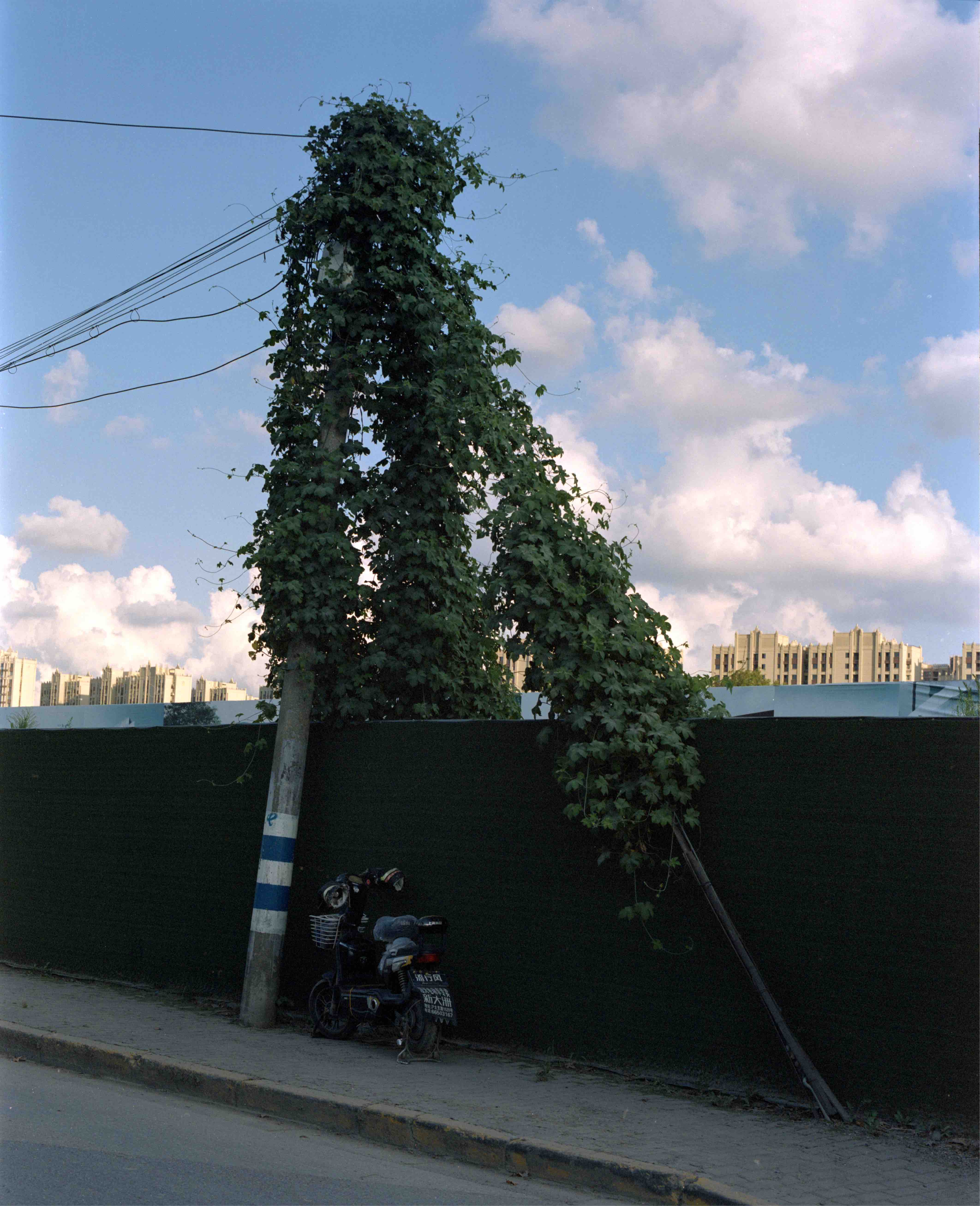 前天礼拜六拍摄的南大路。胶卷相机📷 玛米亚Rz67 