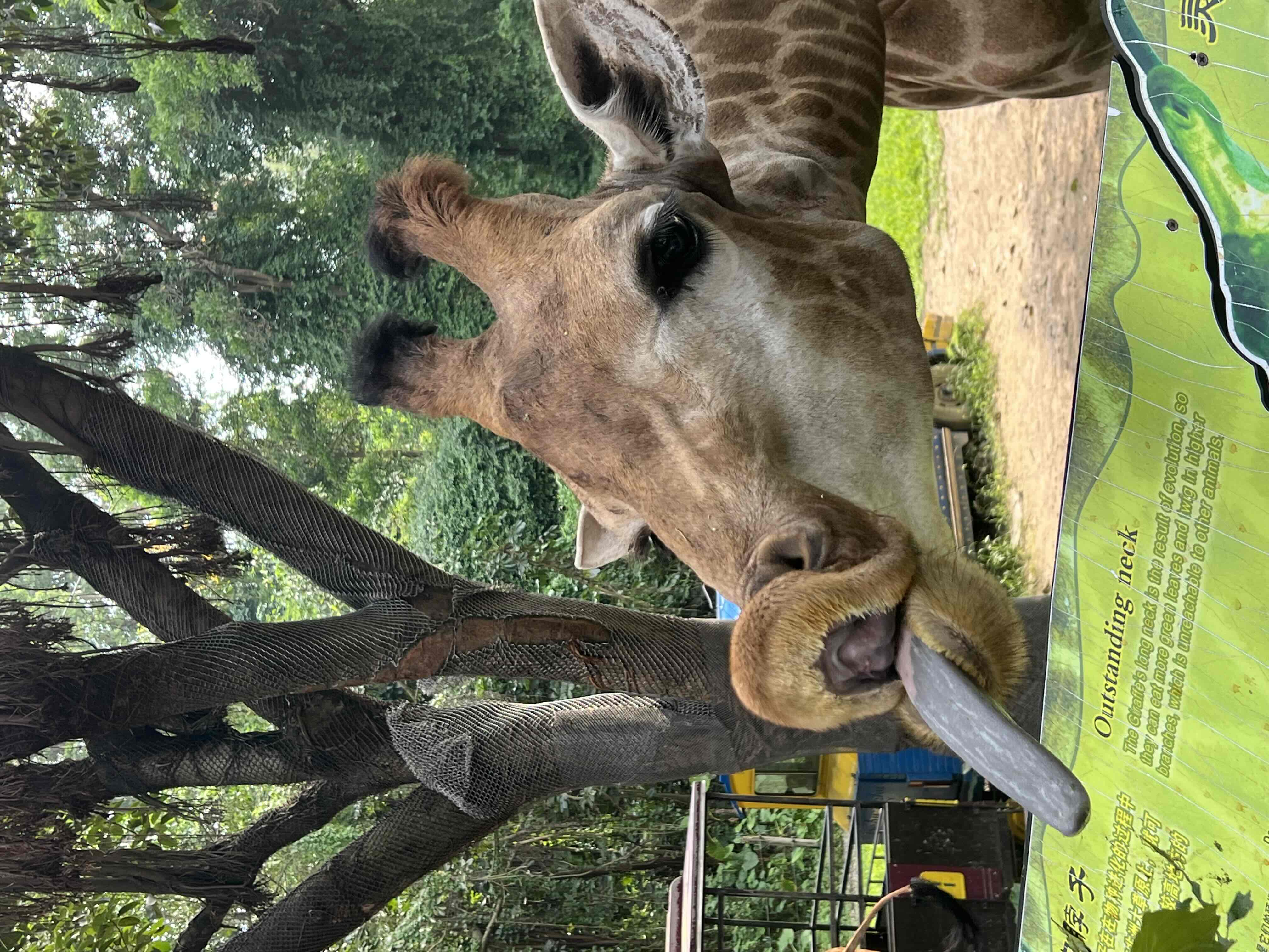 长隆野生动物园