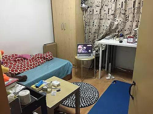 Beijing-Chaoyang-👯‍♀️,Shared Apartment,Pet Friendly,LGBTQ Friendly