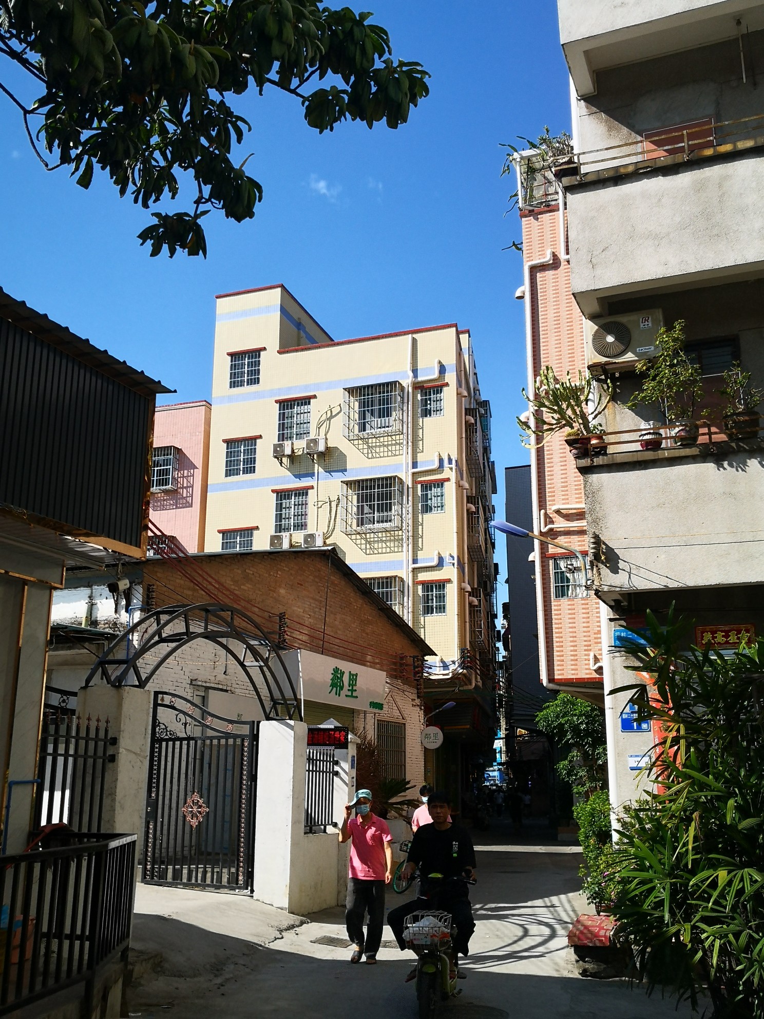 李卫常