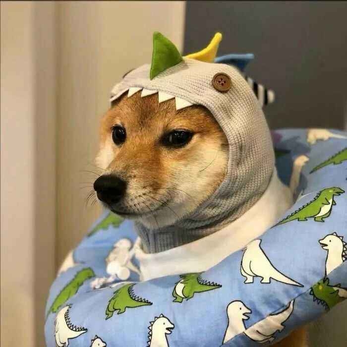 八九