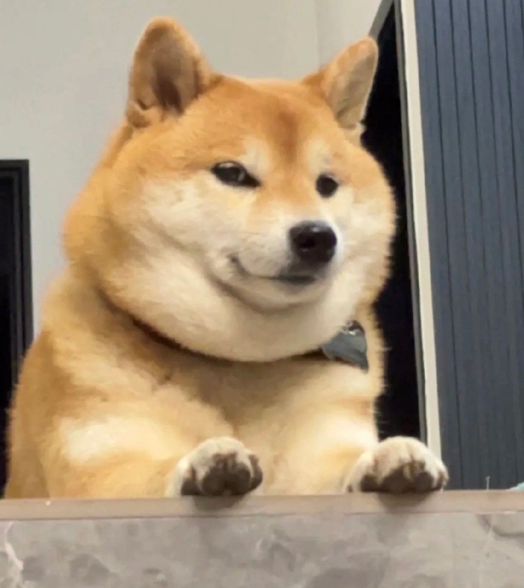 好像在哪见过你