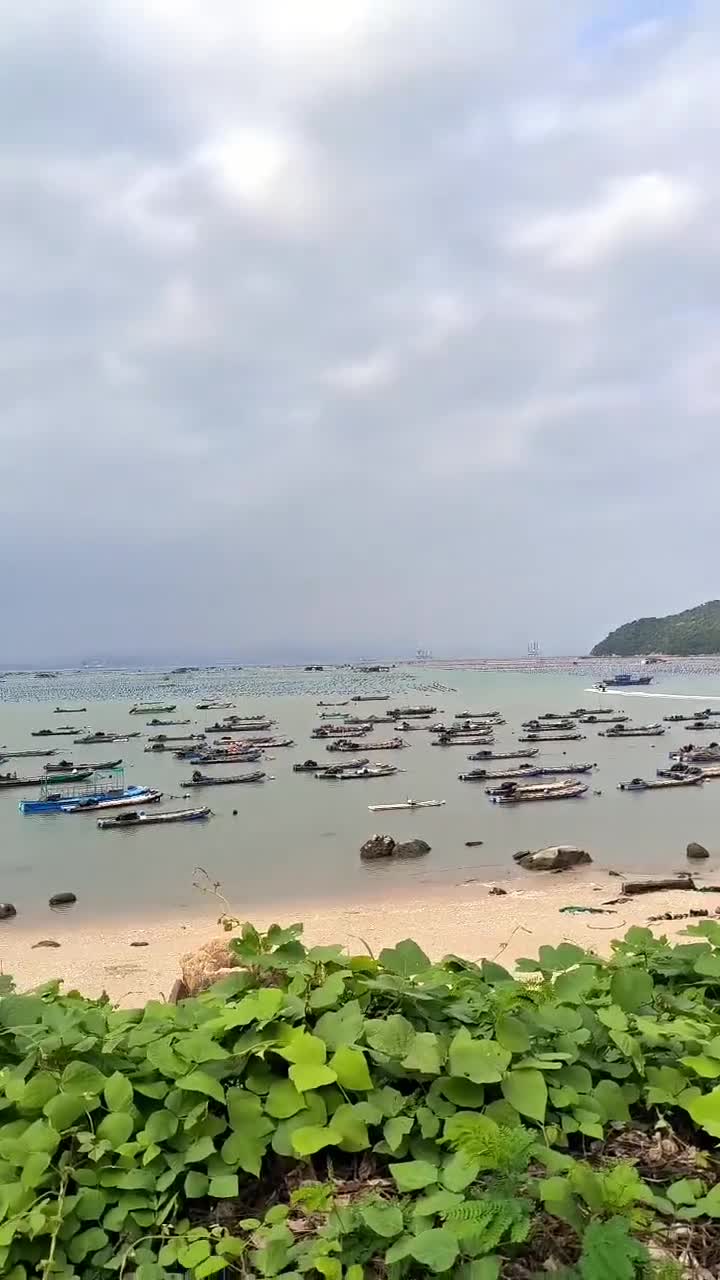  🏳️‍🌈 真美